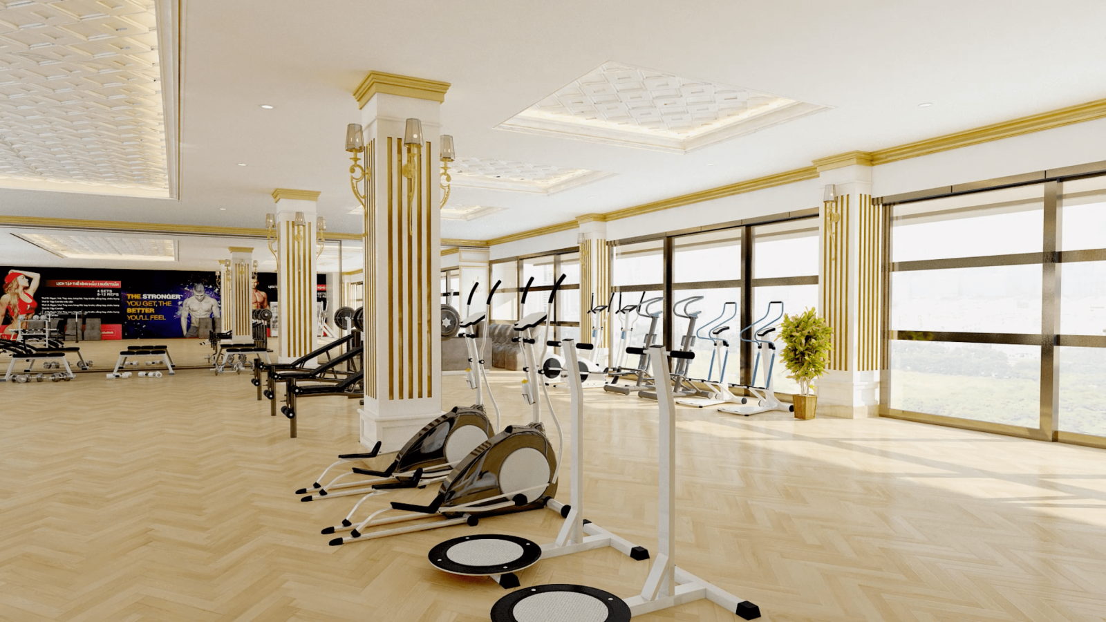 Phòng gym dự án Việt Phát South City