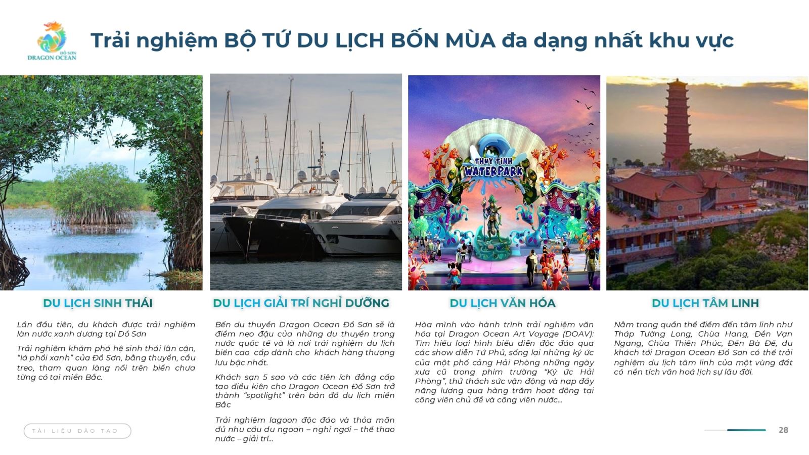 Bộ tứ du lịch bốn mùa Đồi Rồng